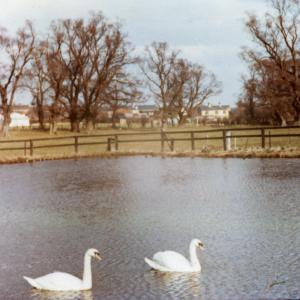 1970 French Hall Meadow pond844