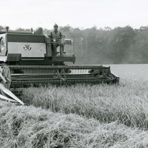 1977 Trinity Hall Farm824