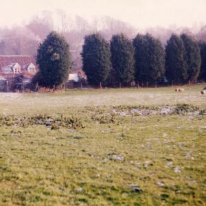1980s French Hall meadow326
