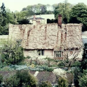 1980s Little Green The Crooked Cottage673