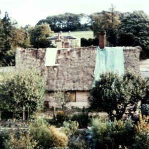 1980s Little Green The Crooked Cottage674