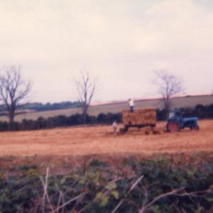 1983 Kennett Rd harvesting for Trinity Hall farm