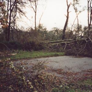1986 Bury RdMoulton parish after the great gale 1