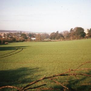1991 Autumn looking towards the Dalham footpath867