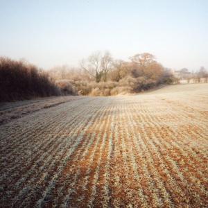 1991 Dalham Footpath looking towards Moulton911
