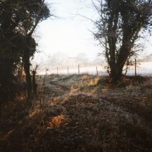 1991 Dalham Footpath near the slippery dip912