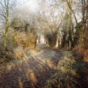 1991 December footpath bridleway to Dalham845