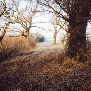 1991 December footpath bridleway to Dalham846