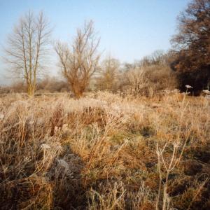 1991 December footpath bridleway to Dalham847