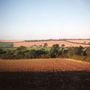 1991 Plantation Hill looking west908