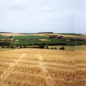 1992 Primrose Hill looking west969