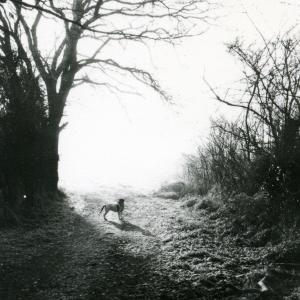 1992 Spring Footpath to Dalham944