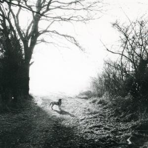 1992 footpath to Dalham986