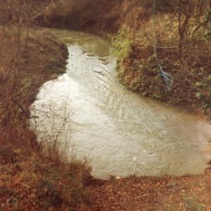 1993 Dalham Meadows Slippery Dip039