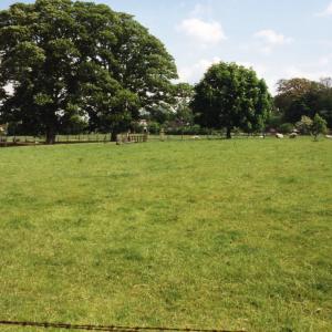 1993 French Hall meadow from the farm036