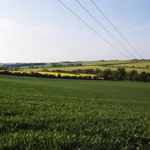 1993 Plantation Hill Looking south towards Dalham011