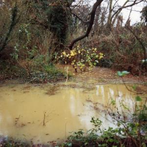 1993 Slippery Dip river Kennett063