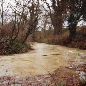 1993 Slippery Dip river Kennett064