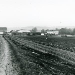 1993 Trinity Hall farm viewed from Folly Hill006