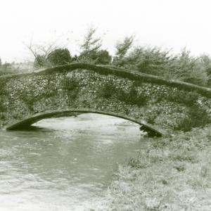 1994 Brookside spring floods The Pretty Bridge110