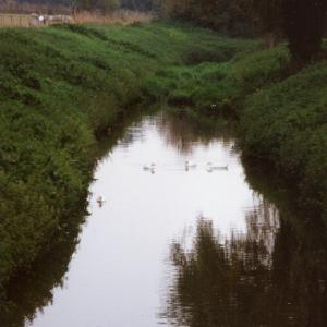 1994 Car Bridge looking south097