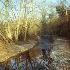 1994 Dalham Meadows January beside the river banks cl 1
