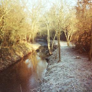 1994 Dalham Meadows January beside the river banks cl 2