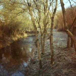 1994 Dalham Meadows January beside the river banks cleare