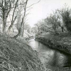 1994 Dalham Meadows beside the river banks cleared by 1