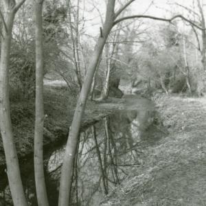1994 Dalham Meadows beside the river banks cleared by Angl
