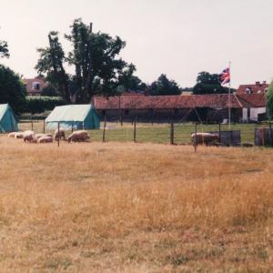 1995 August French Hall Meadow scouts from London300