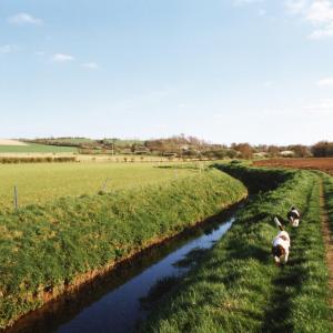 1995 Kennett Rd footpath247