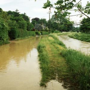 1995 May Brookside from the Little Bridge258