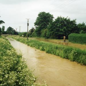 1995 May Brookside257