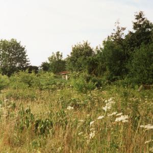1996 Bottom of Tweed Close was allotments now Riversi 2