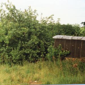 1996 Bottom of Tweed Close was allotments now Riverside W