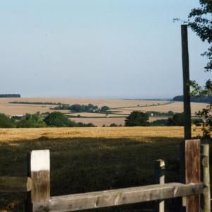 1996 July Plantation Hill footpath looking towards Ely370