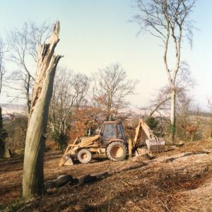 1996 The Plantation removal of tree damaged in gales328