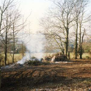 1996 The Plantation removal of tree damaged in gales329