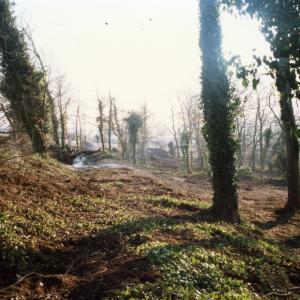1996 The Plantation removal of tree damaged in gales330