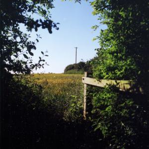 1998 June Cheveley Rd remains of ROC post beside the foot