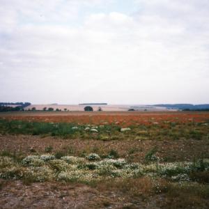 1998 Sept the Cheveley Moulton Rd looking towards Folly Hi
