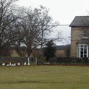 1999 Dec Trinity Hall Farm