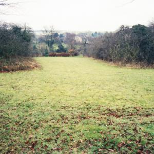 1999 No11 Brookside from the top of the garden009