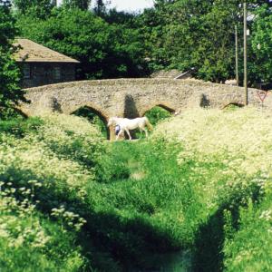 1999 White horse Packhorse Bridge002