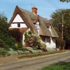 2000 Bridge St The Timbers152