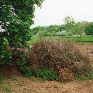 2000 French Hall Pond site clearance 2164