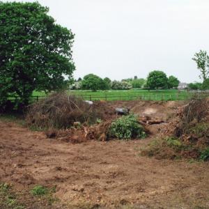 2000 French Hall Pond site clearance 3165