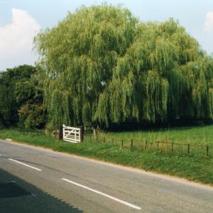 2000 French Hall Pond103