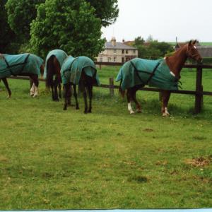 2000 Moulton Hall meadow151